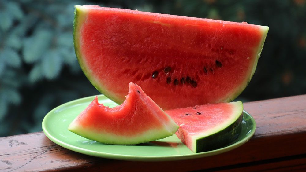 osvieženie melón